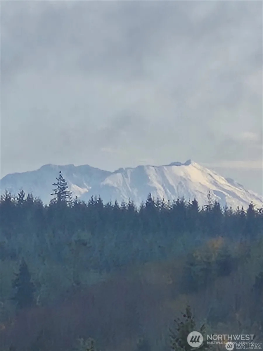 0 Lot 1-4 Macomber Road W Chehalis, WA 98532