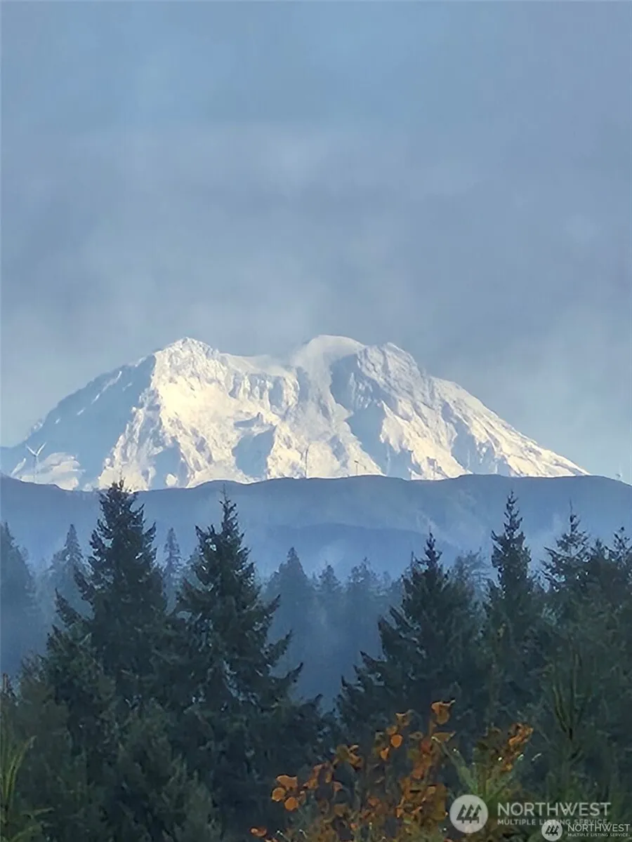 0 Lot 1-4 Macomber Road W Chehalis, WA 98532