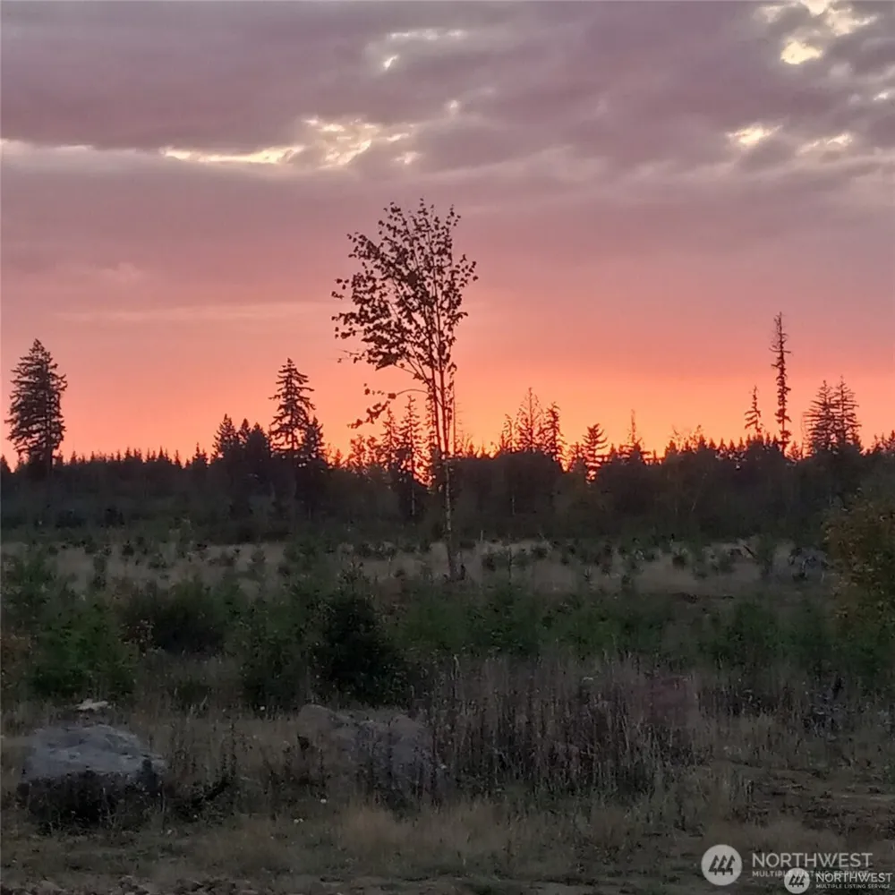 0 Lot 1-4 Macomber Road W Chehalis, WA 98532