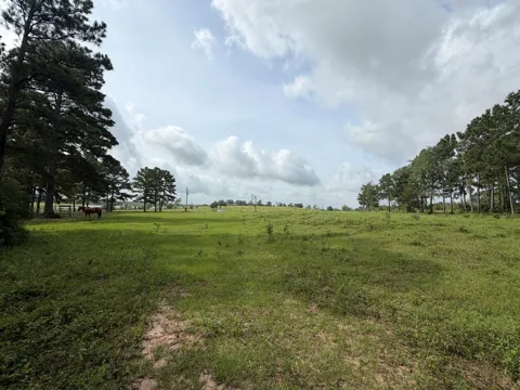 6779 County Road 215