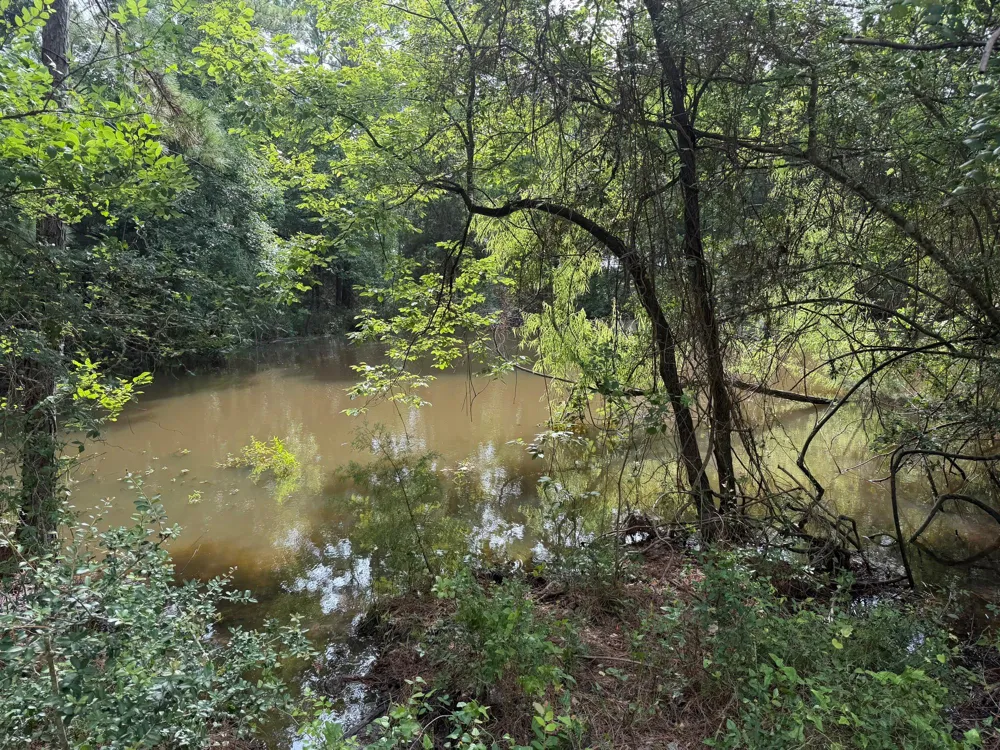 6779 County Road 215 Anderson, TX 77830