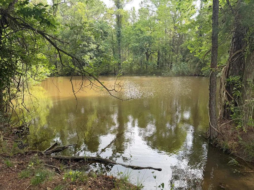 6779 County Road 215 Anderson, TX 77830