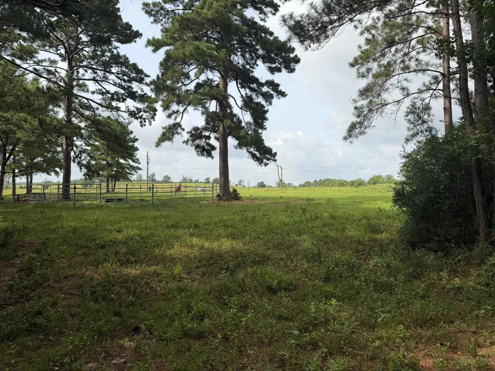 6779 County Road 215 Anderson, TX 77830