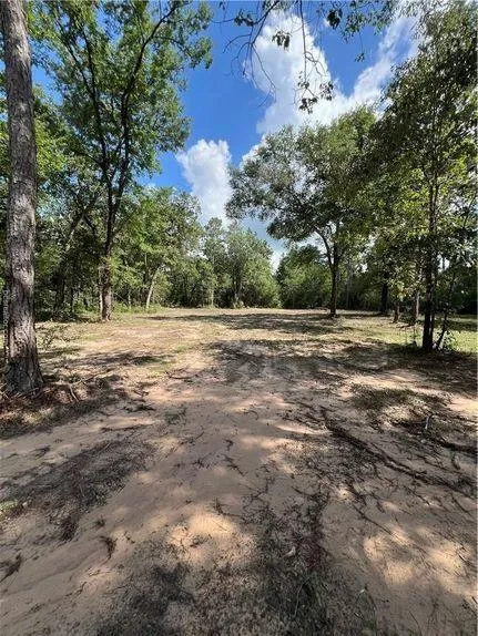 6779 County Road 215 Anderson, TX 77830