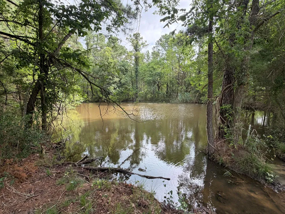 6779 County Road 215 Anderson, TX 77830