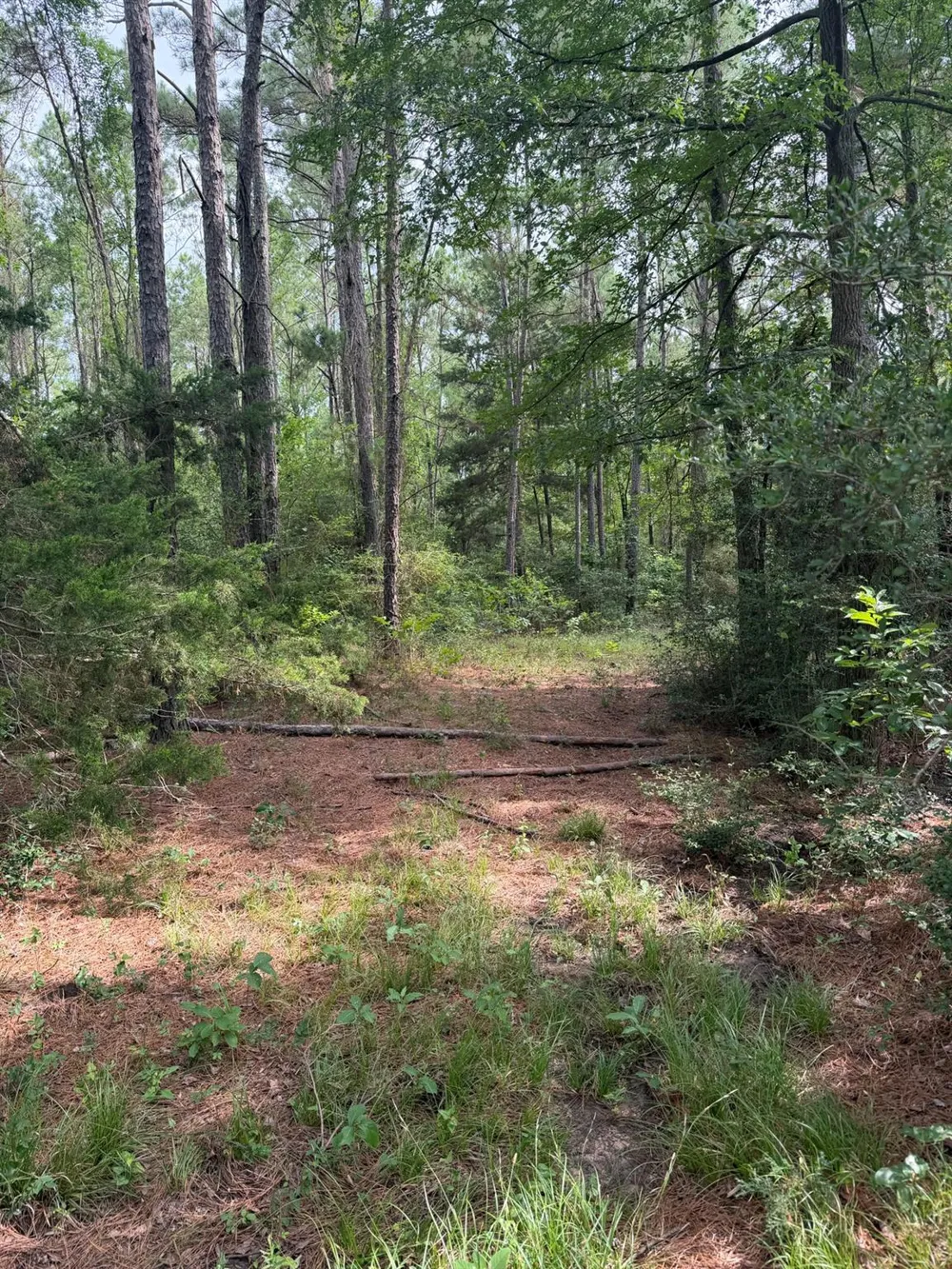 6779 County Road 215 Anderson, TX 77830