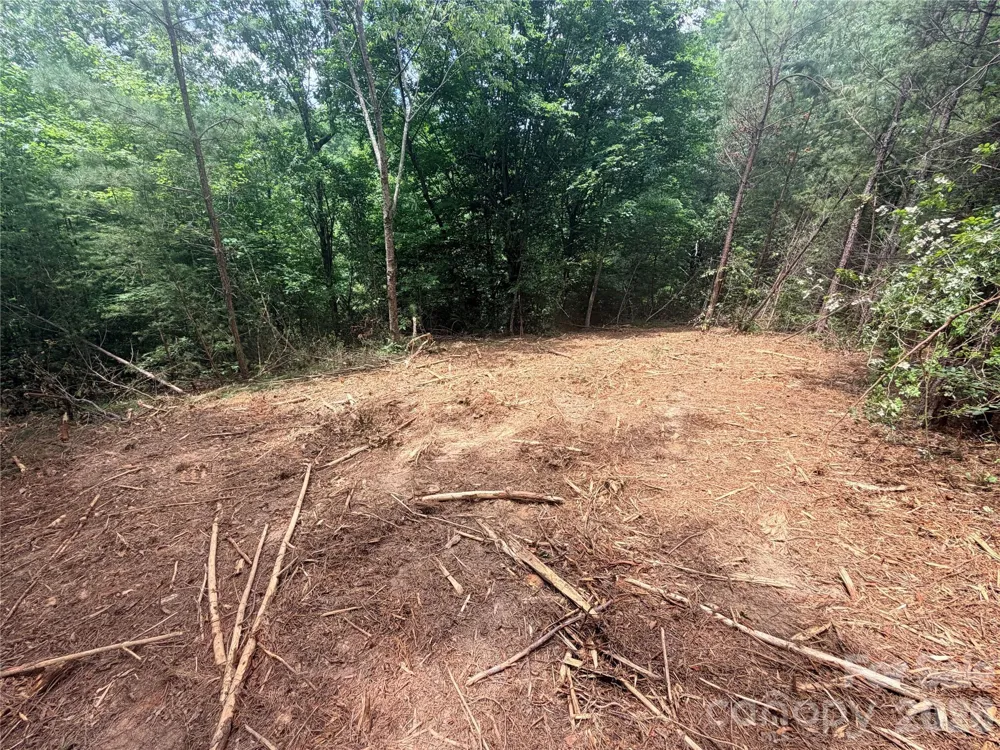 0 Gold Creek Point #4 Union Mills, NC 28167