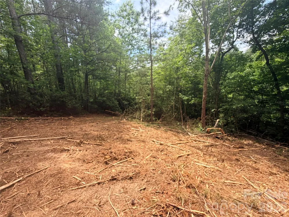 0 Gold Creek Point #4 Union Mills, NC 28167