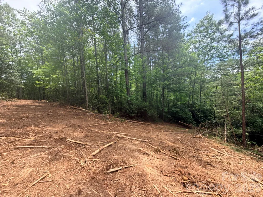 0 Gold Creek Point #4 Union Mills, NC 28167