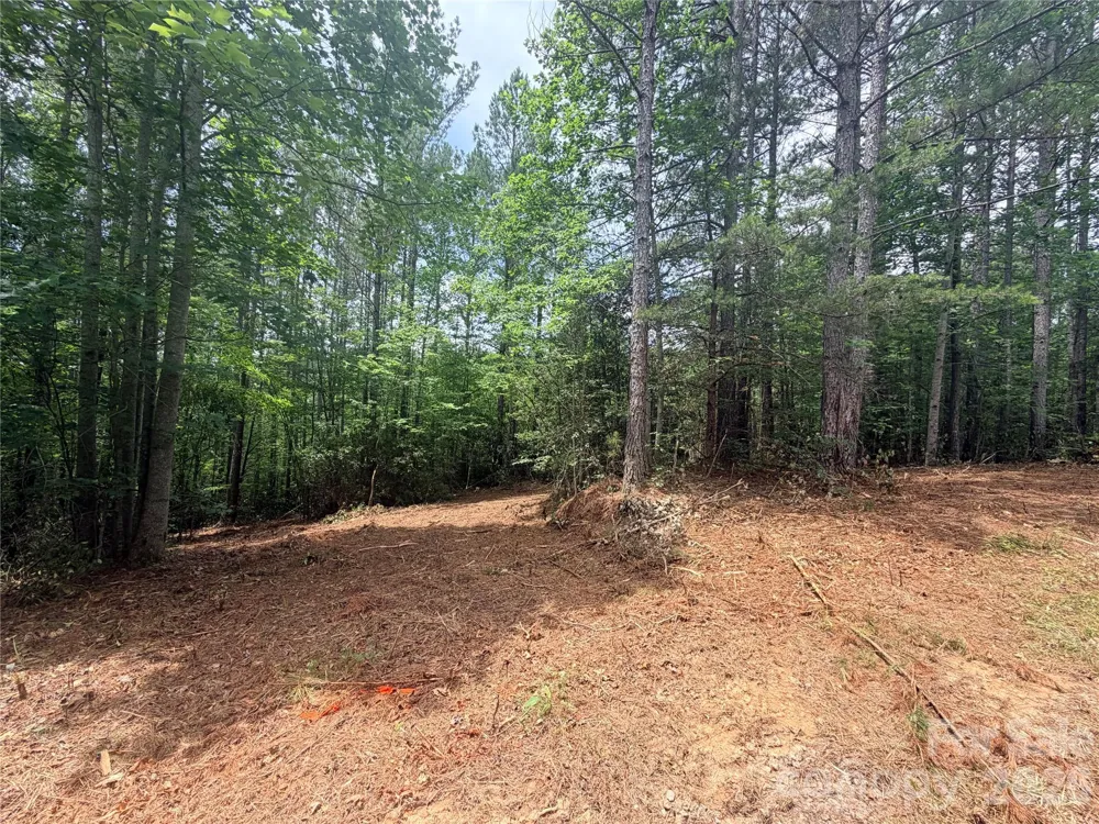 0 Gold Creek Point #4 Union Mills, NC 28167