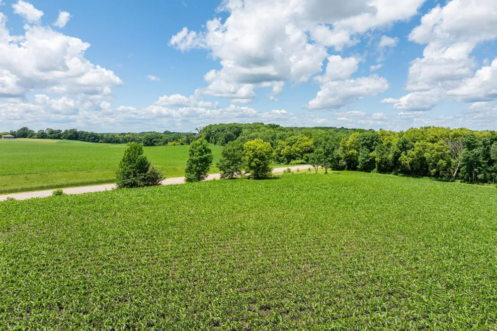 XXX 165th Avenue Kilkenny, MN 56052