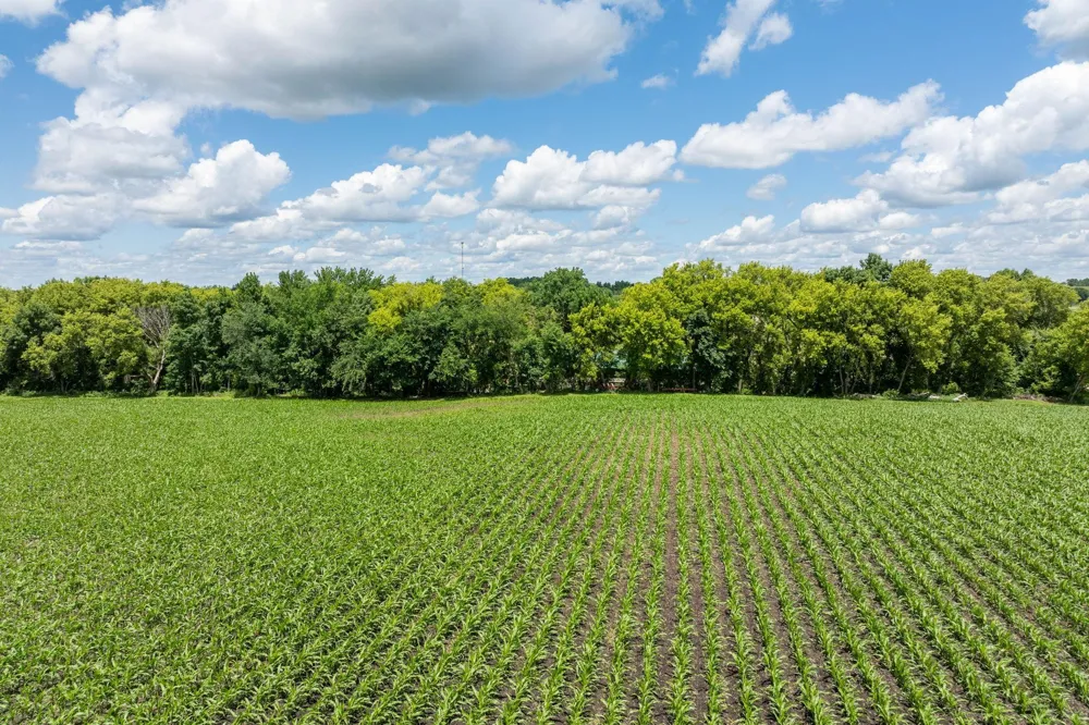 XXX 165th Avenue Kilkenny, MN 56052
