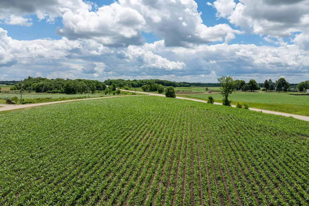 XXX 165th Avenue Kilkenny, MN 56052