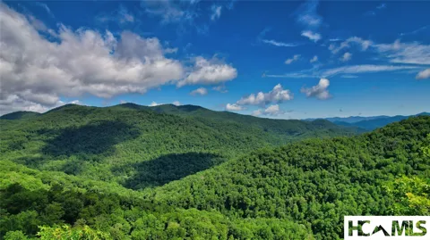 Lot 55 Pilot Mountain