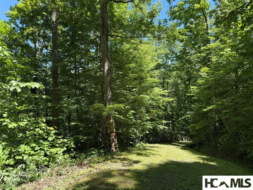 Lot 55 Pilot Mountain Glenville, NC 28736