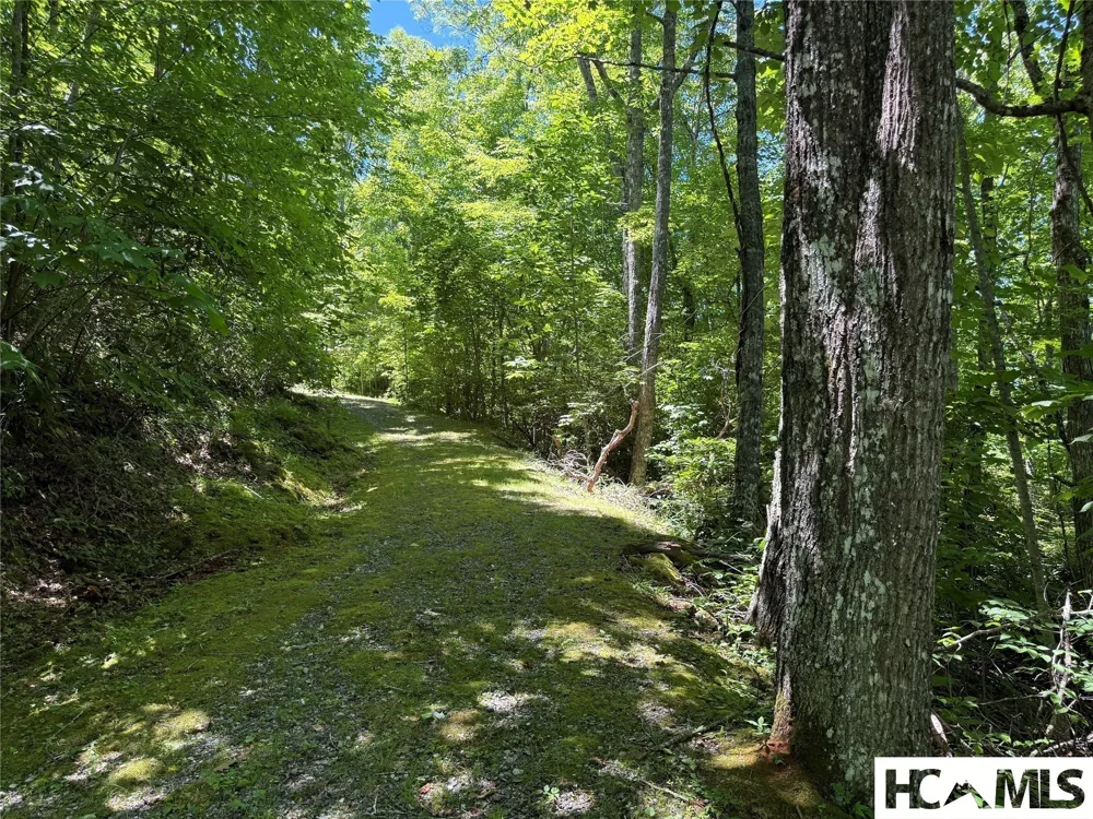 Lot 55 Pilot Mountain Glenville, NC 28736