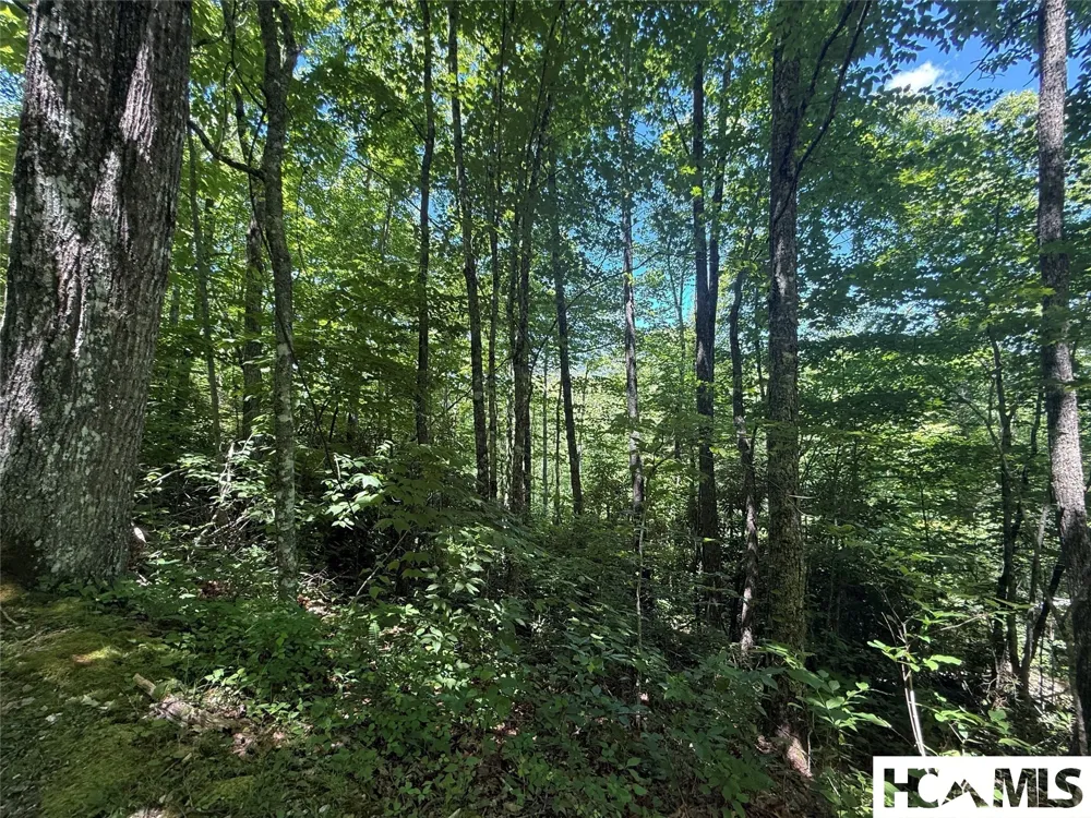 Lot 55 Pilot Mountain Glenville, NC 28736