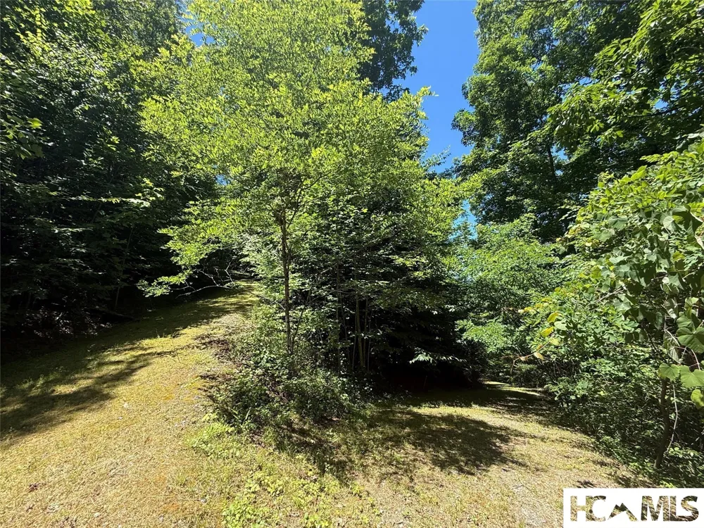 Lot 55 Pilot Mountain Glenville, NC 28736