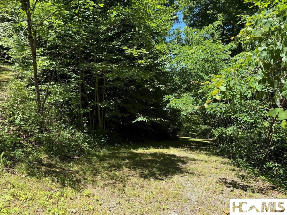 Lot 55 Pilot Mountain Glenville, NC 28736