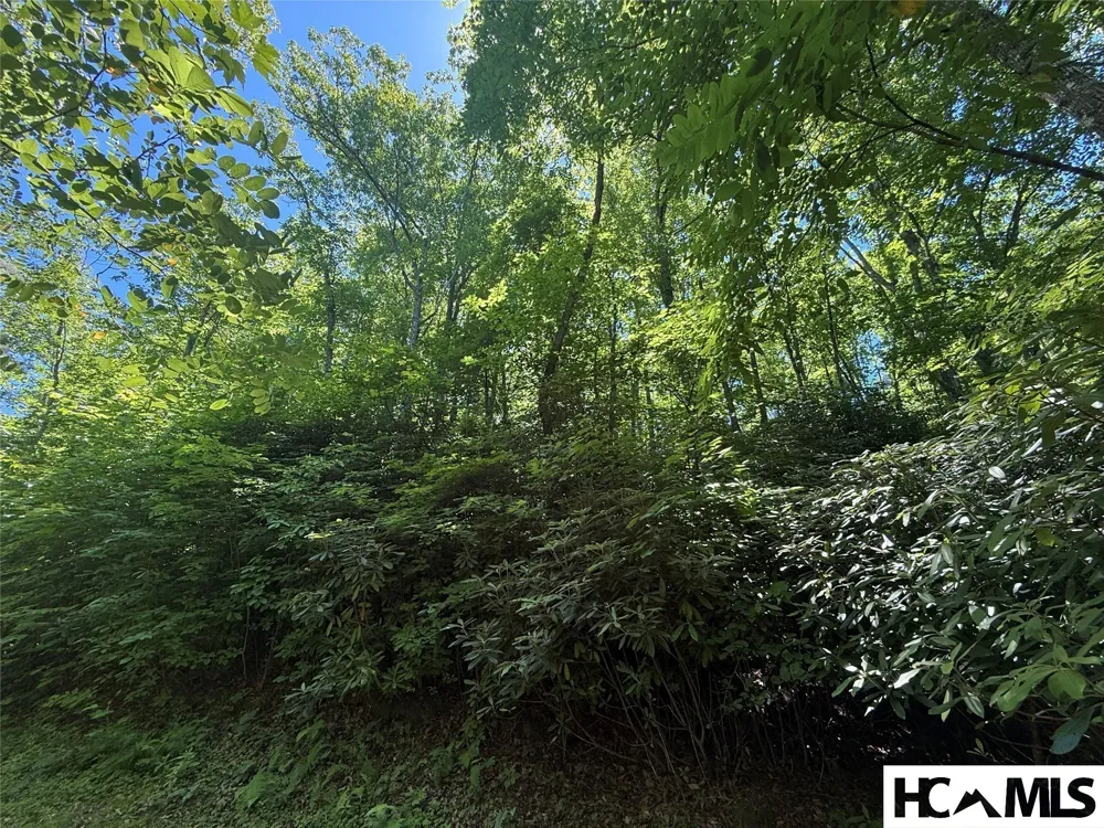Lot 55 Pilot Mountain Glenville, NC 28736