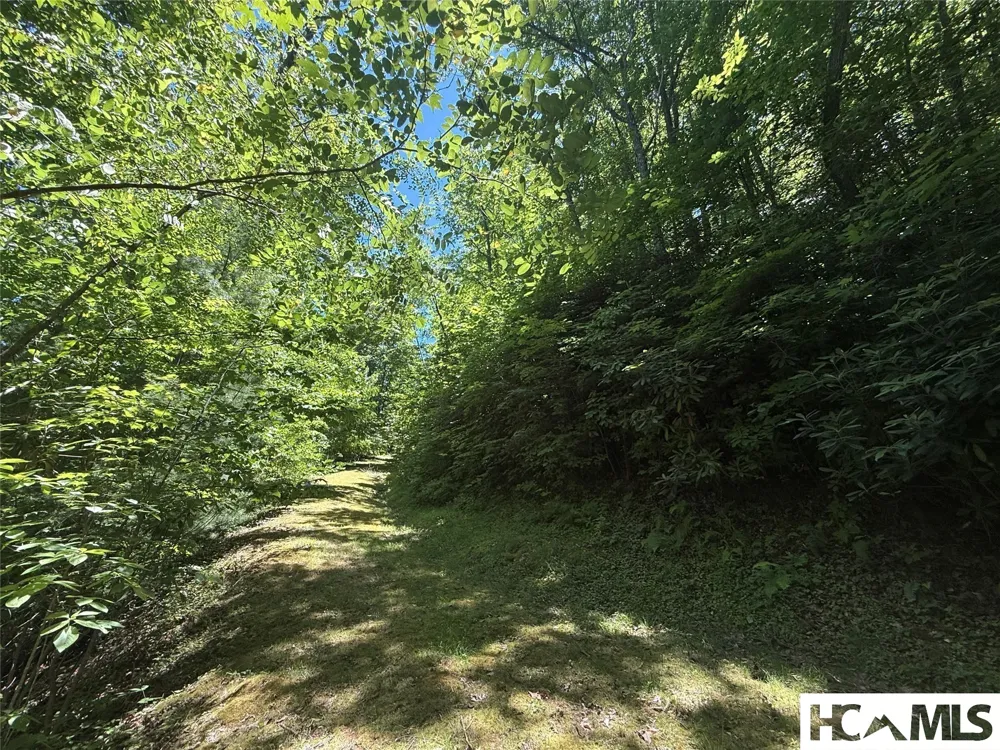 Lot 55 Pilot Mountain Glenville, NC 28736