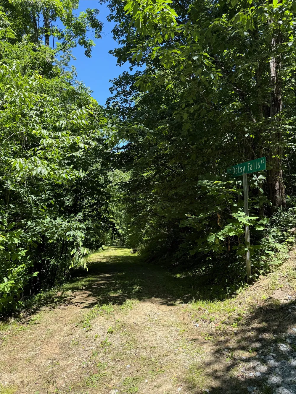 Lot 55 Pilot Mountain Glenville, NC 28736
