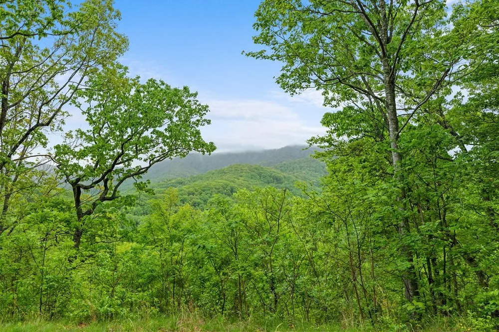 W Old Murphy Rd Franklin, NC 28734