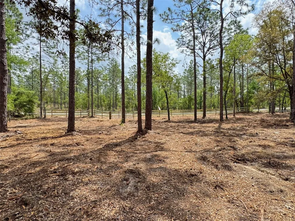 SW DEERPARK HEIGHTS ROAD Dunnellon, FL 34431