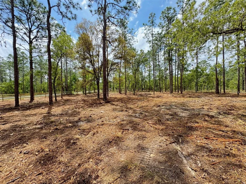 SW DEERPARK HEIGHTS ROAD Dunnellon, FL 34431
