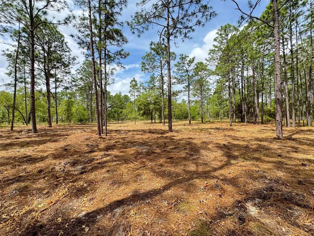 SW DEERPARK HEIGHTS ROAD Dunnellon, FL 34431