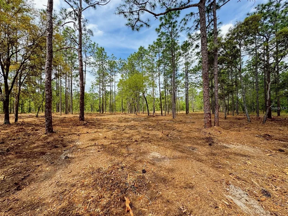 SW DEERPARK HEIGHTS ROAD Dunnellon, FL 34431