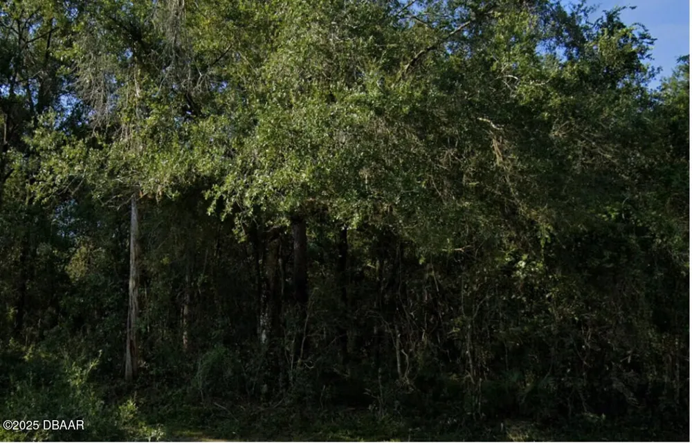 440 E Rhode Island Avenue Orange City, FL 32763
