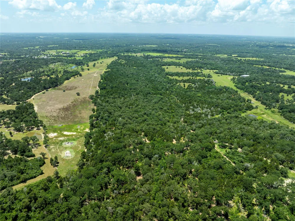 Old Hwy 36 N Road Bellville, TX 77418