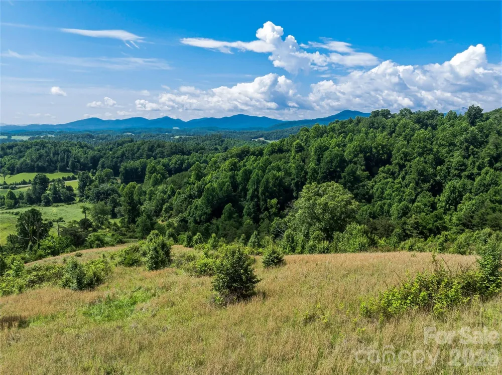 99999 Felmet Farm Road Marshall, NC 28753