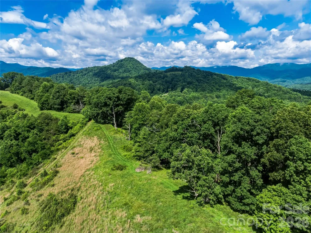 99999 Felmet Farm Road Marshall, NC 28753