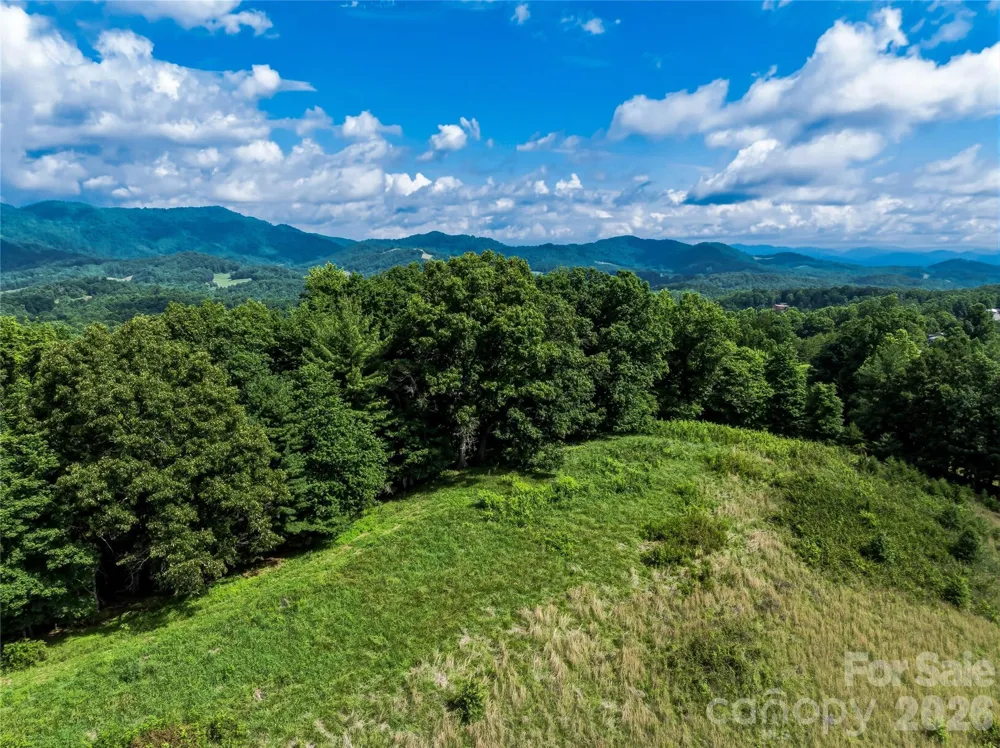 99999 Felmet Farm Road Marshall, NC 28753