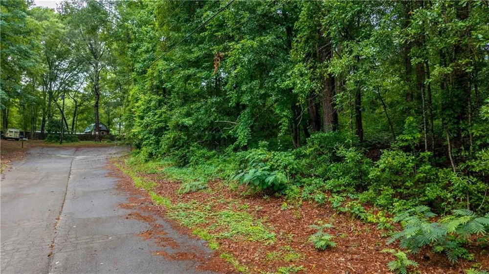 136 Wolf Creek Lane Locust Grove, GA 30248