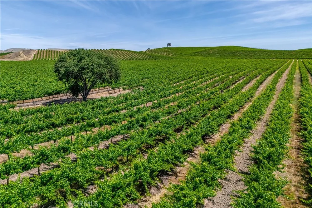 7160 Estrella San Miguel, CA 93451