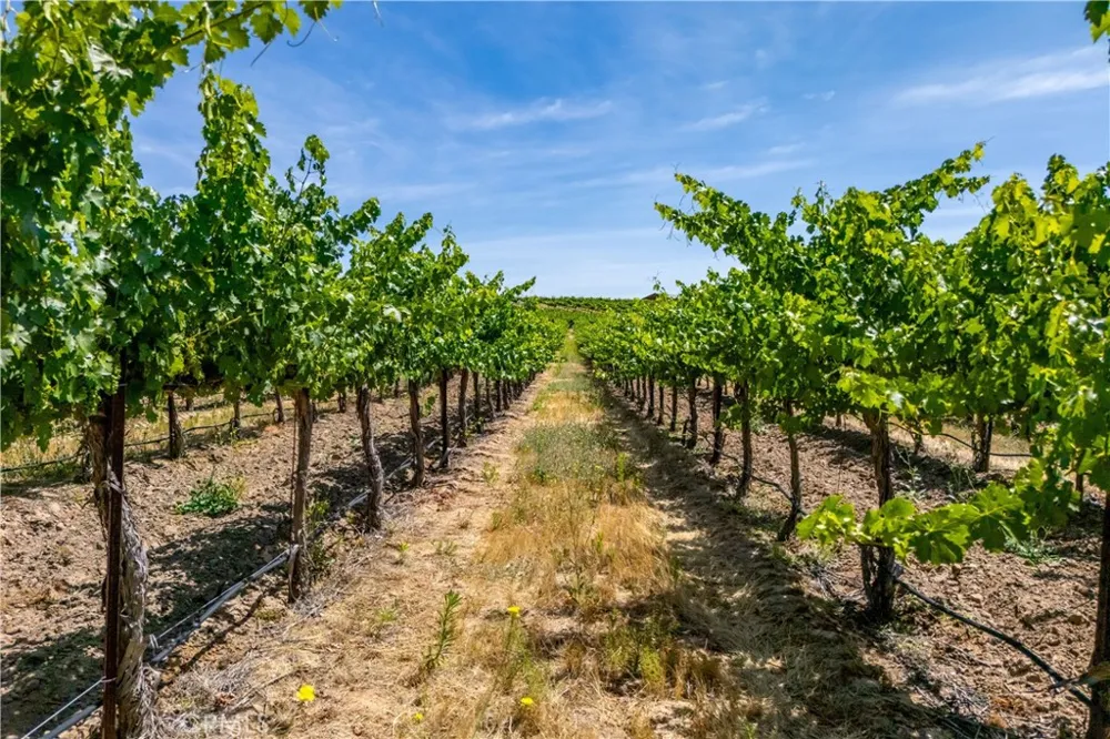 7160 Estrella San Miguel, CA 93451