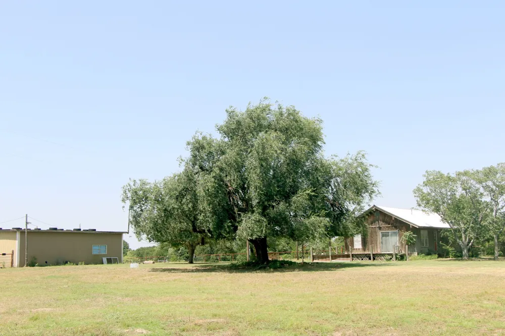 117 County Road 485 Ranger, TX 76470
