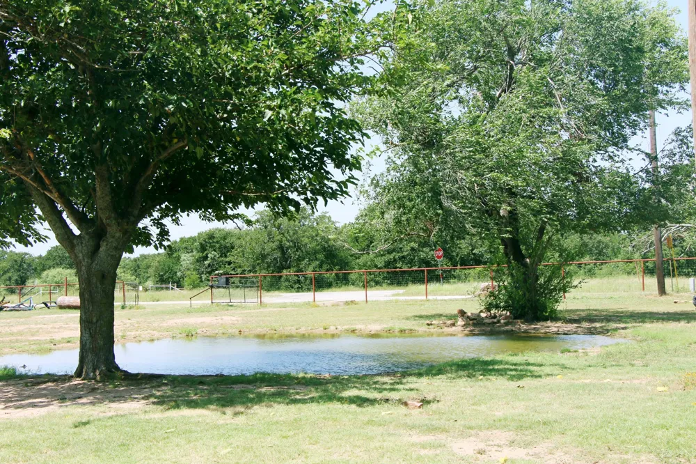 117 County Road 485 Ranger, TX 76470