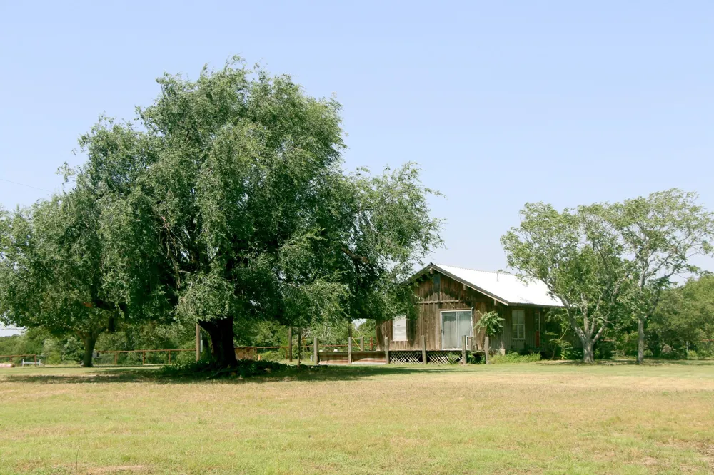 117 County Road 485 Ranger, TX 76470