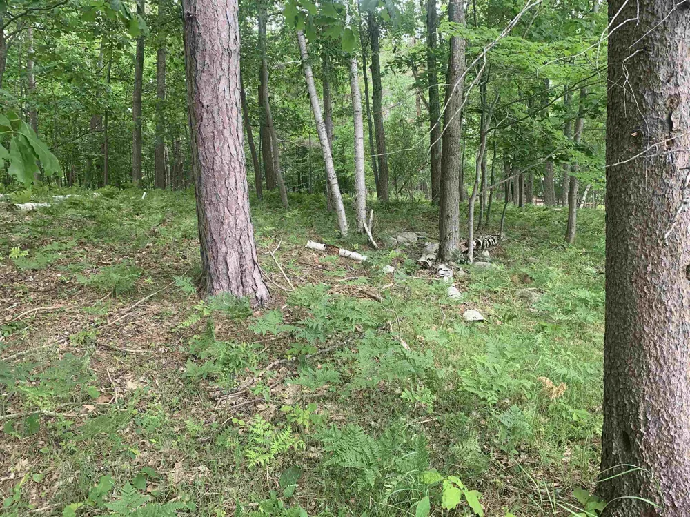 Wildwood Court Hartwick Township, MI 49631