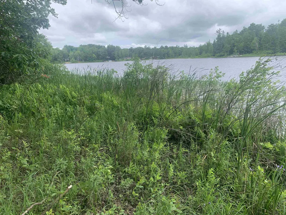 Wildwood Court Hartwick Township, MI 49631