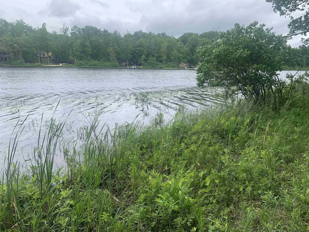 Wildwood Court Hartwick Township, MI 49631