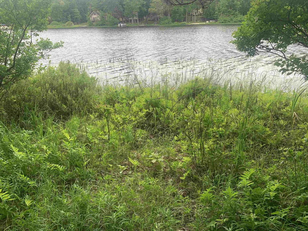 Wildwood Court Hartwick Township, MI 49631