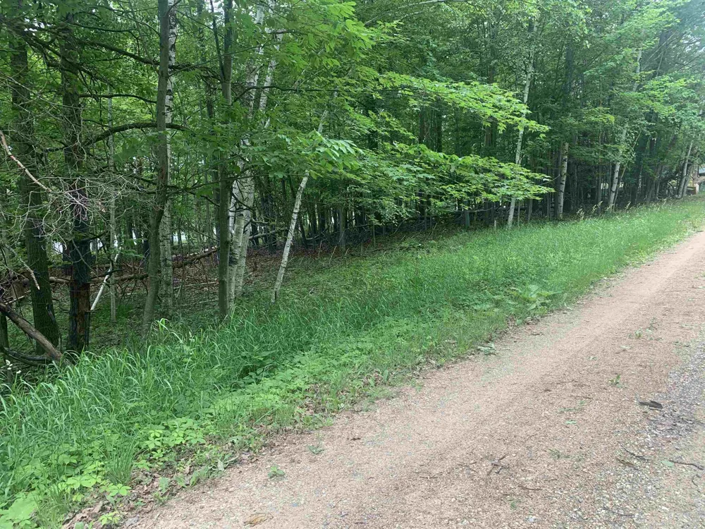 Wildwood Court Hartwick Township, MI 49631