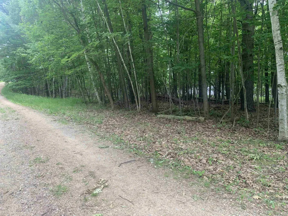 Wildwood Court Hartwick Township, MI 49631