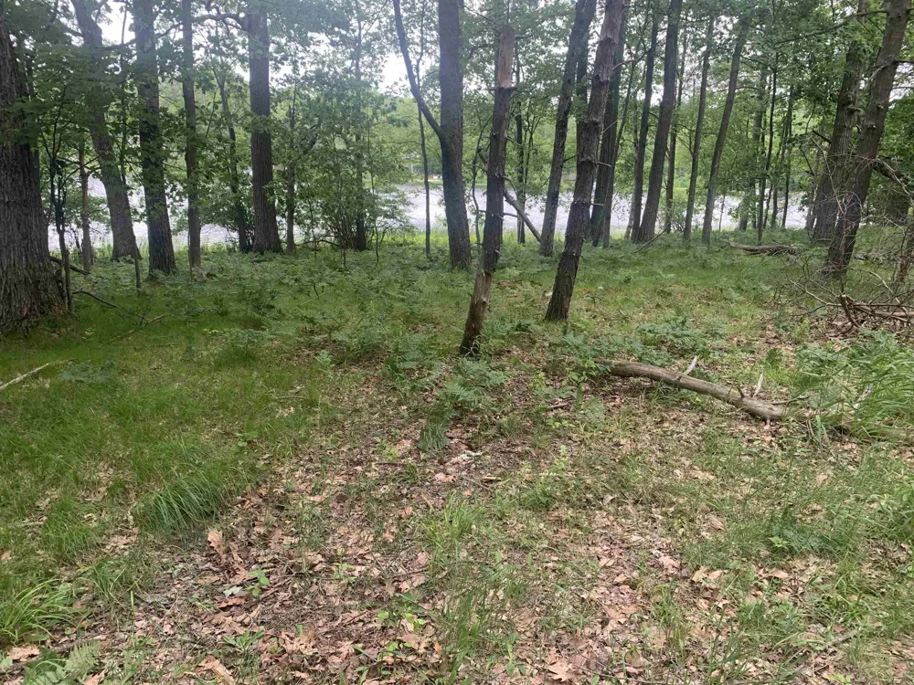 Wildwood Court Hartwick Township, MI 49631