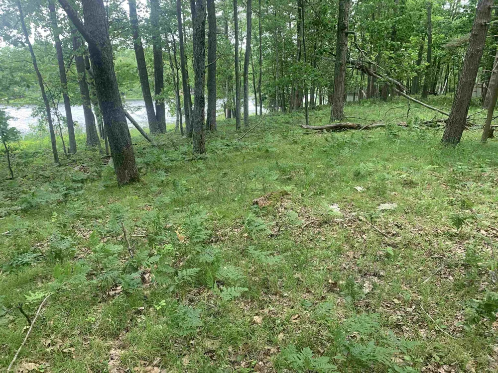 Wildwood Court Hartwick Township, MI 49631